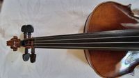 Geige 10b-2