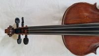 Geige 17-2