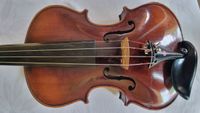 Geige 19b