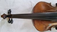 Geige 19c-2