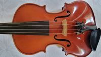 Geige 22