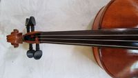 Geige 25-2
