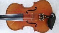Geige 5