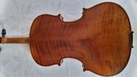 Geige 6c-5
