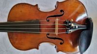 Geige 6c