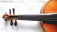 Geige 7c.6