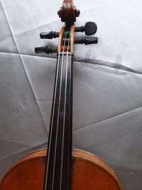 Geige 31-6